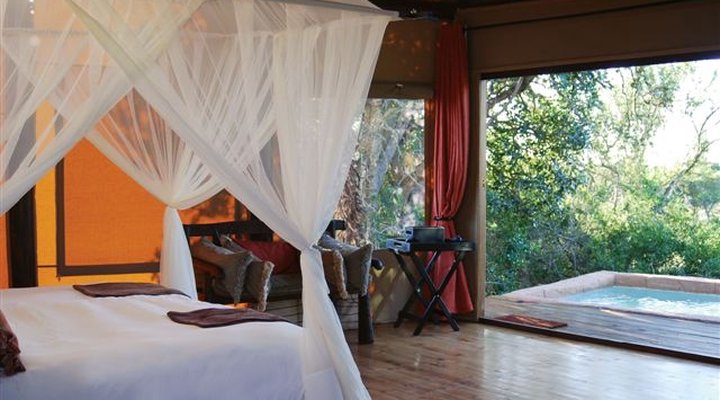 The Bush Lodge - Amakhala Game Reserve