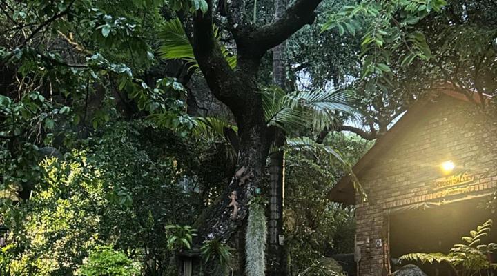 Beetleloop Guesthouse