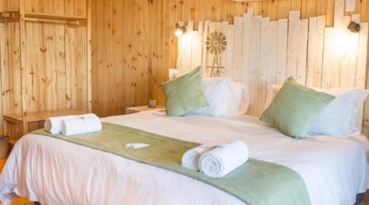 Kalahari Lion's Rest