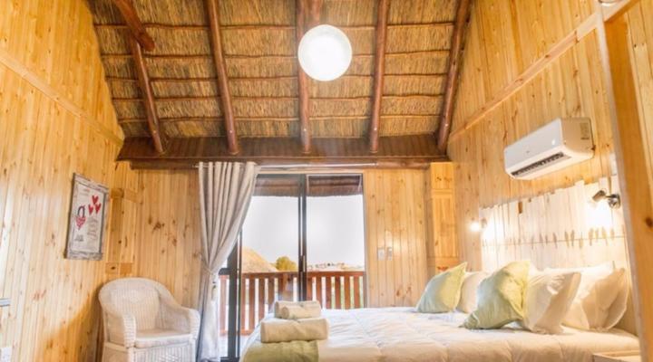 Kalahari Lion's Rest