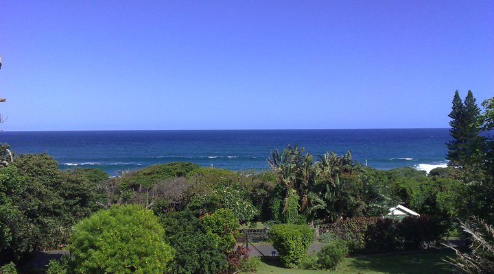 Blue Horizon