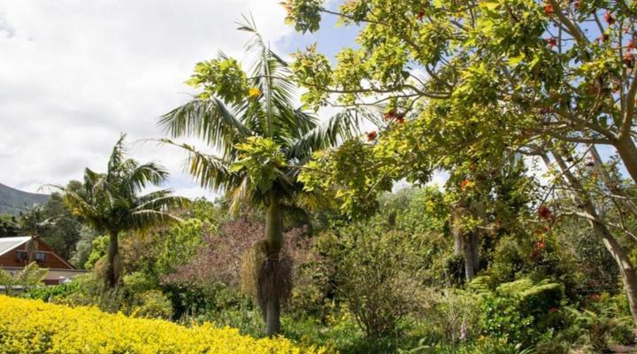 Jan Se Bo-Kaap Self-Catering