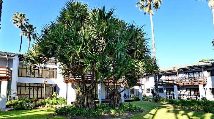 ANEW Resort Wilderness Garden Route