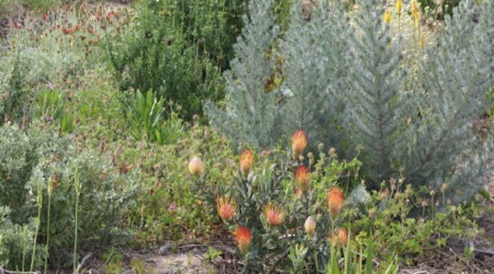 Langvlei Dunes Accommodation