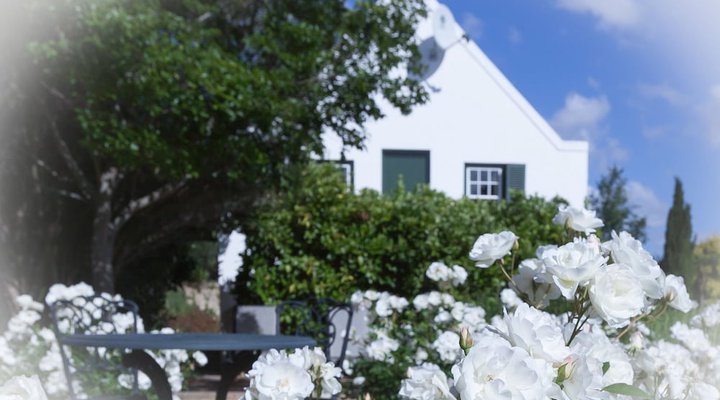 Sanddrif Guest Farm - Dup