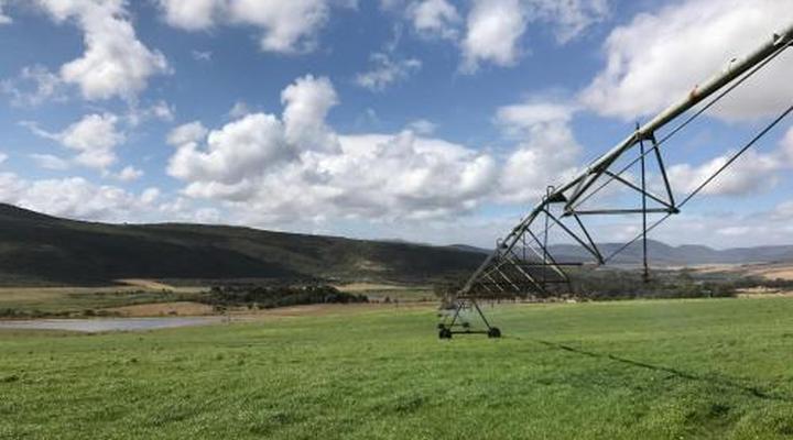 Goedvertrou Guest Farm