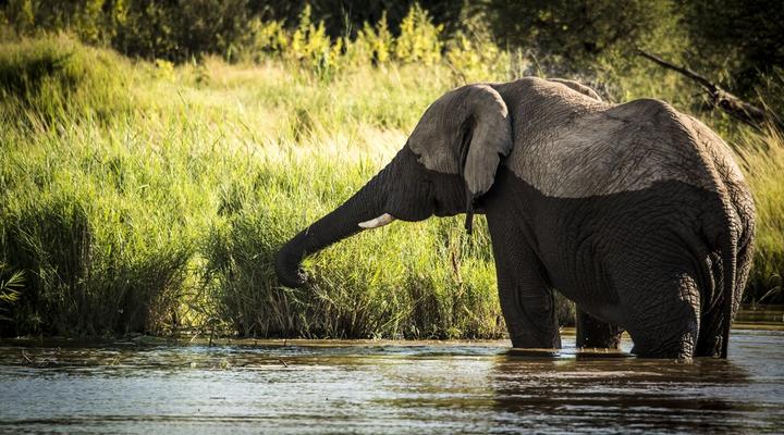 Marataba Mountain Lodge