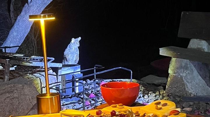 Marloth Park Reverie Safari Lodge