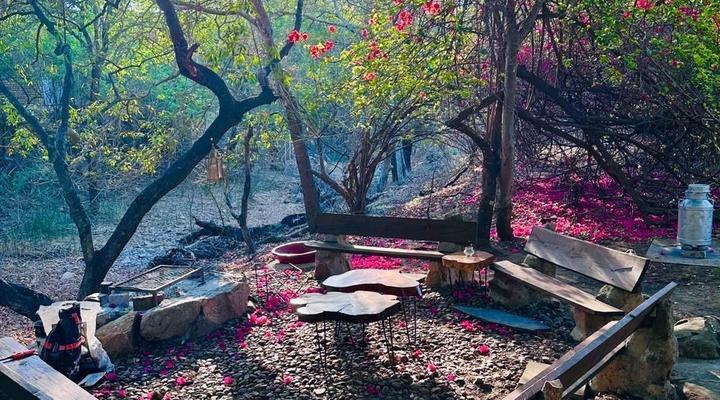 Marloth Park Reverie Safari Lodge