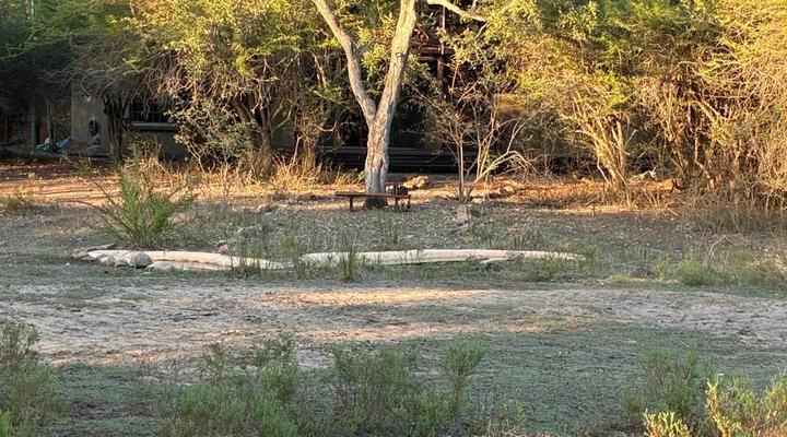 Marloth Park Reverie Safari Lodge