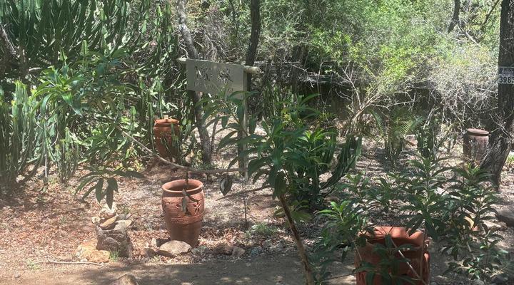 Marloth Park Reverie Safari Lodge