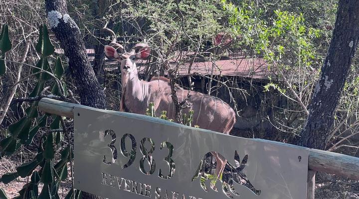 Marloth Park Reverie Safari Lodge