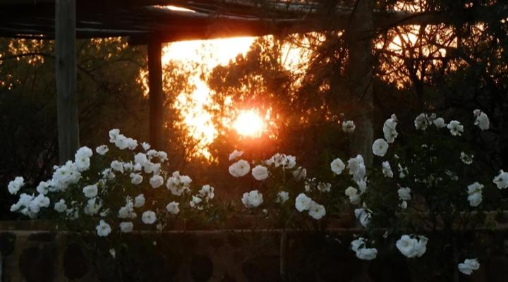 Buck Hill Bush Lodge