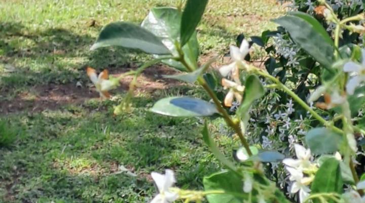 Buck Hill Bush Lodge