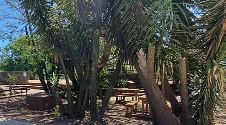 Buck Hill Bush Lodge