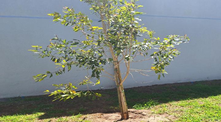 Heide Serengeti Self-Catering Flats