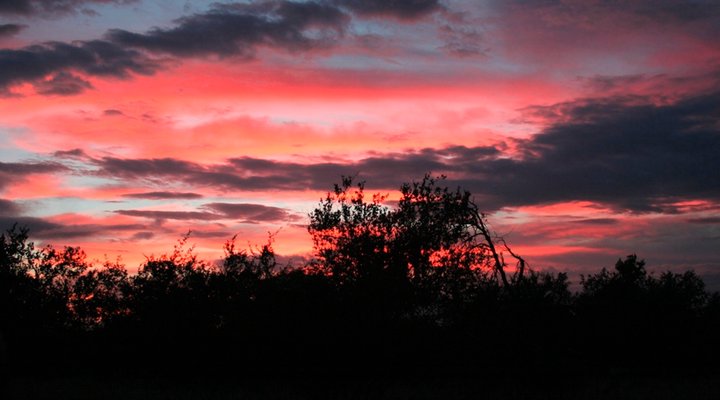 Toro Yaka Bush Lodge
