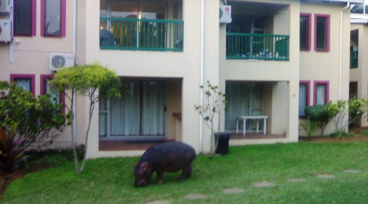 St Lucia @ The Bridge