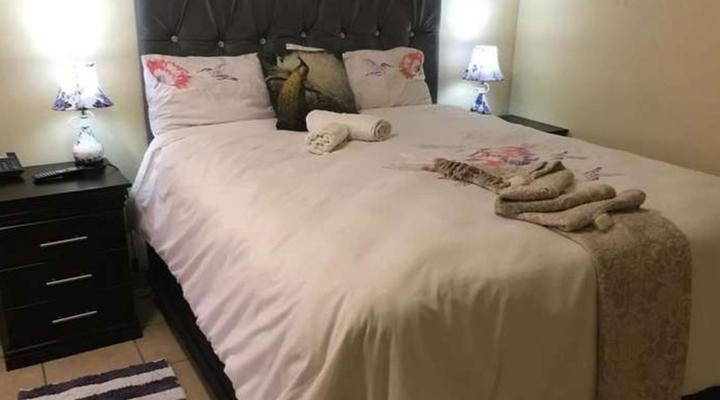 Pale Bohemia Bed and Breakfast