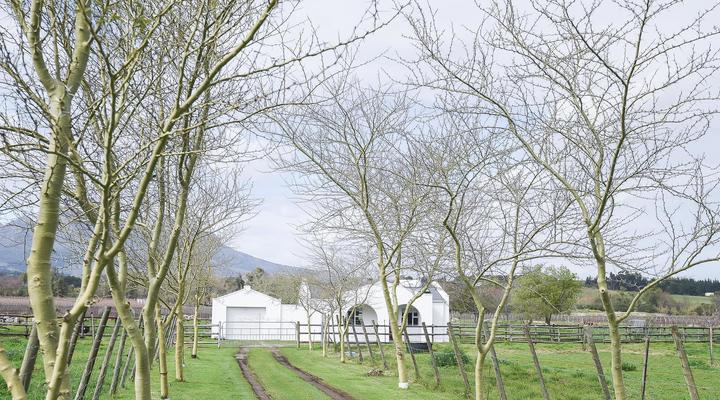 Vredenheim Guesthouse