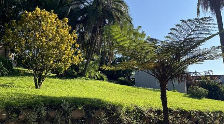 The Lookout Guesthouse