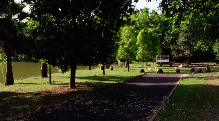 The Nugget Guest Lodge