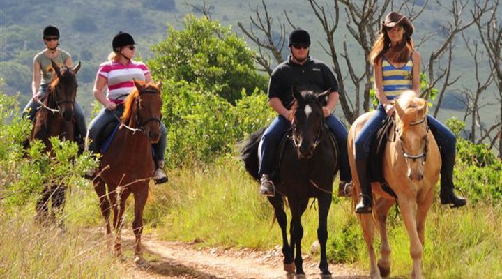 Lydenrust Guest Farm & Horse Trails