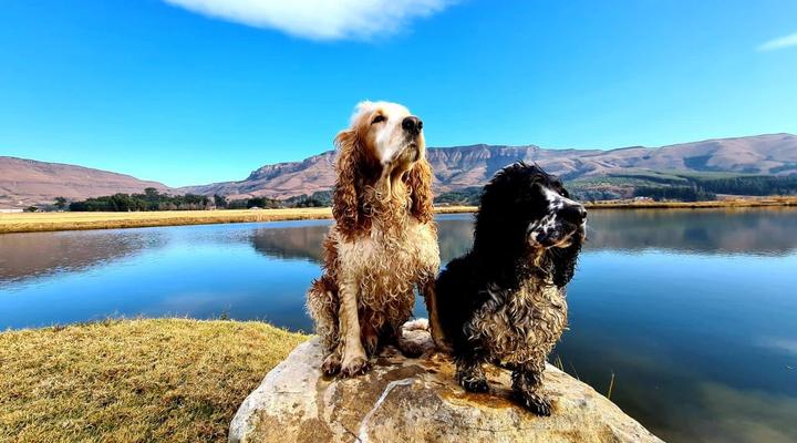 Kamberg Valley Hideaway