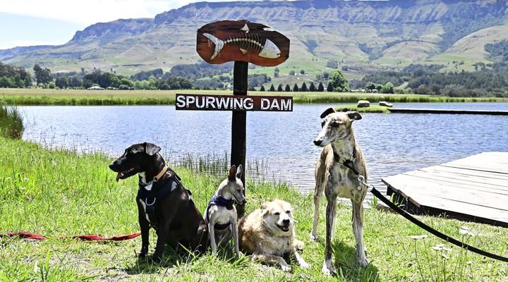 Kamberg Valley Hideaway