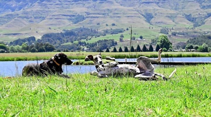 Kamberg Valley Hideaway