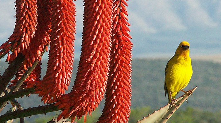 Rolbaken Guesthouse and Nature Reserve