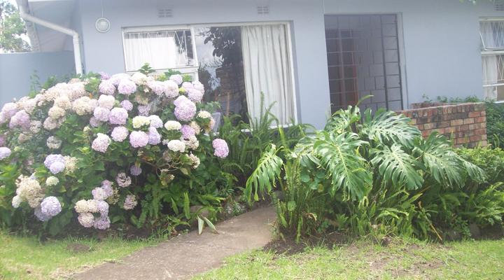 Palm Springs B&B and Self-catering