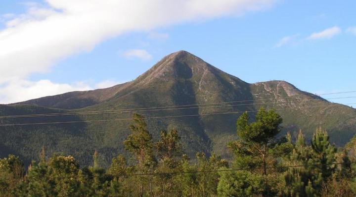 Fijnbosch Moss & Moon Cabin