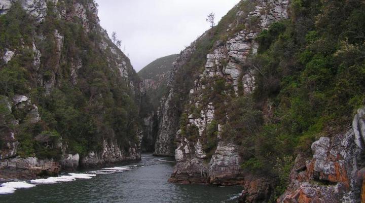 Fijnbosch Moss & Moon Cabin