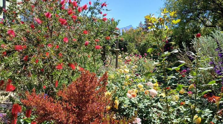Pool House at the Old Victorian