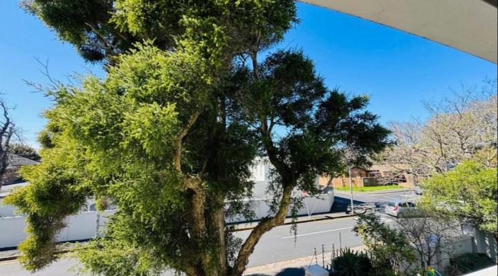 Cape Town View Apartment - Parklands