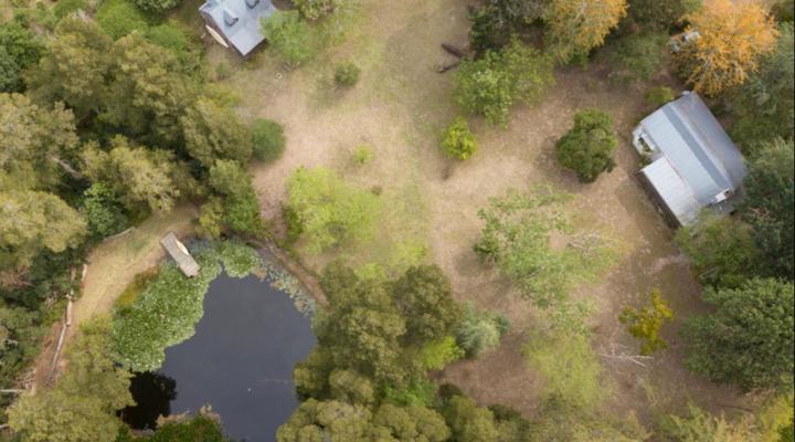 Peace of Eden Vegan Forest Getaway