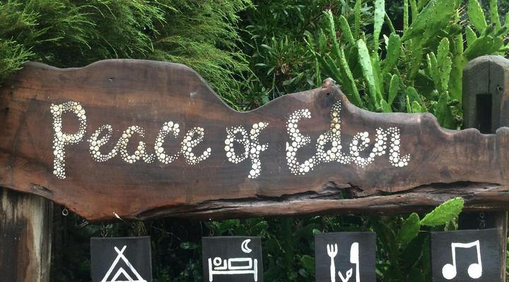Peace of Eden Vegan Forest Getaway
