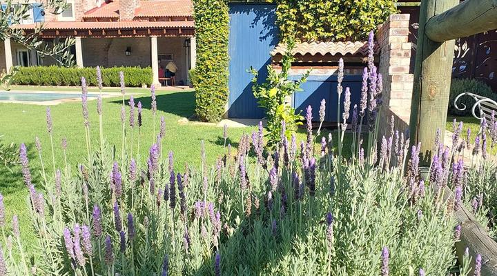 Hartland Country House