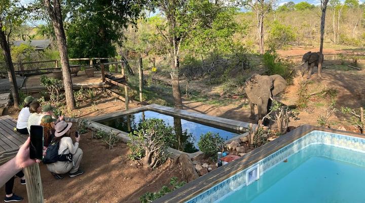 Khanya Conservation Camp