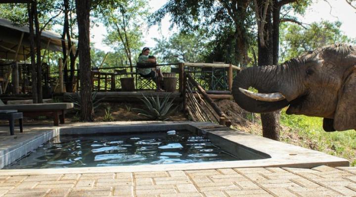 Khanya Conservation Camp