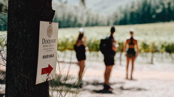 AfriCamps at Doolhof Wine Estate