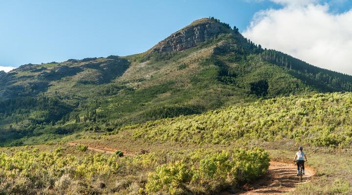 AfriCamps at Doolhof Wine Estate