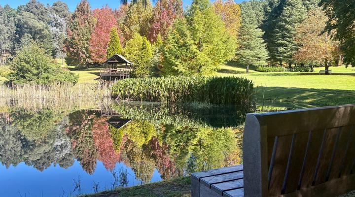 Meadow Lane Country Cottages
