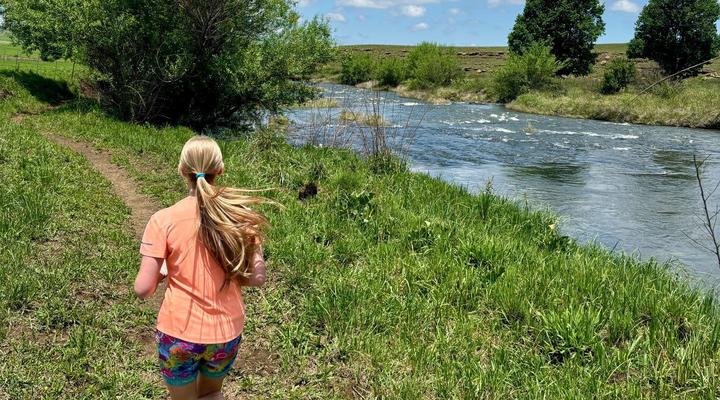 Meadow Lane Country Cottages