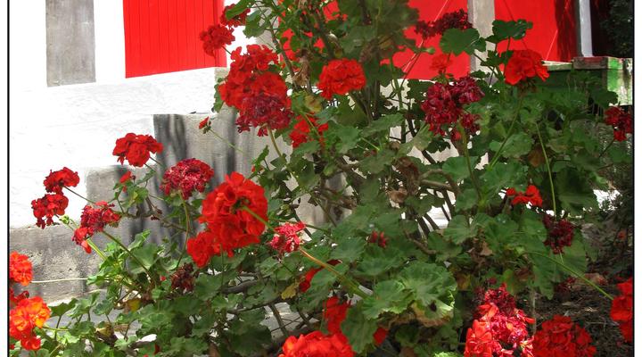 Kruisrivier Gallery Apartment