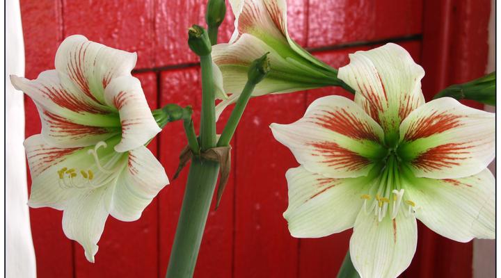 Kruisrivier Gallery Apartment