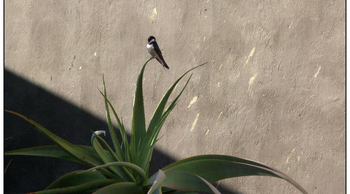 Kruisrivier Gallery Apartment