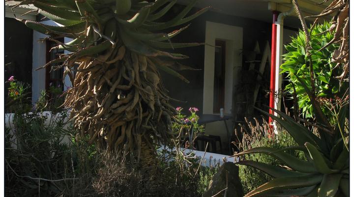 Kruisrivier Gallery Apartment