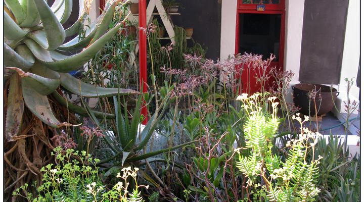 Kruisrivier Gallery Apartment